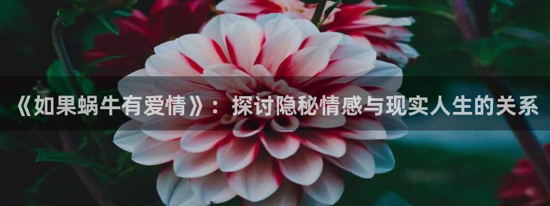 酷漫屋在线观看