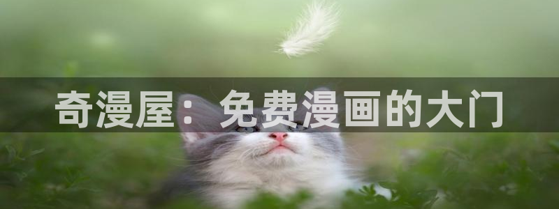 酷漫屋app下载安装官方最新