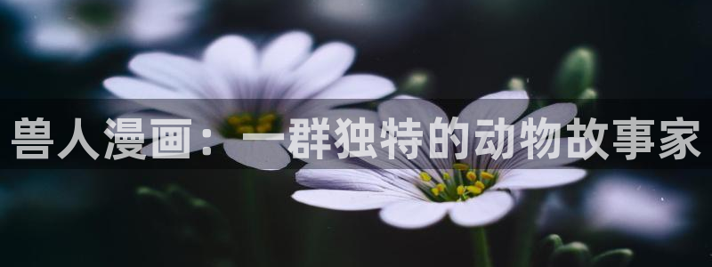 酷漫屋app下载安装