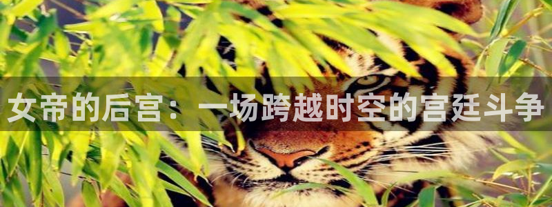 酷漫屋漫画下拉式奇漫屋漫画免费：女帝的后宫：一场跨越时空的宫廷斗争